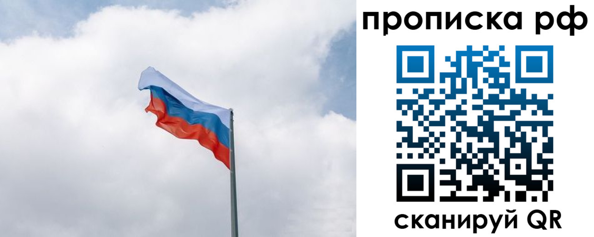 прописка гарантия в Ногинске